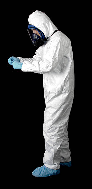 Best Mold Damage Restoration  in Mpbell, CA